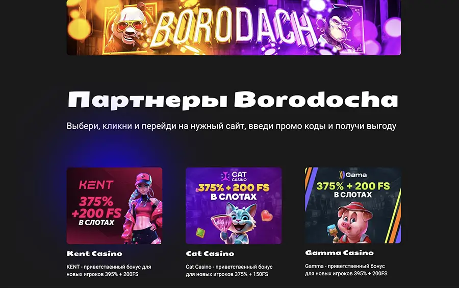 cover borodach